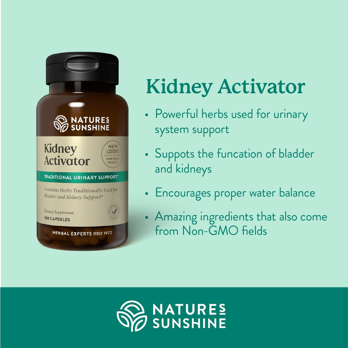 Nature's Sunshine Kidney Activator Capsules, 100 Capsules | Natural Kidney Supplement Contains Herbs to Support and Enhance Kidney Function and Urine Flow